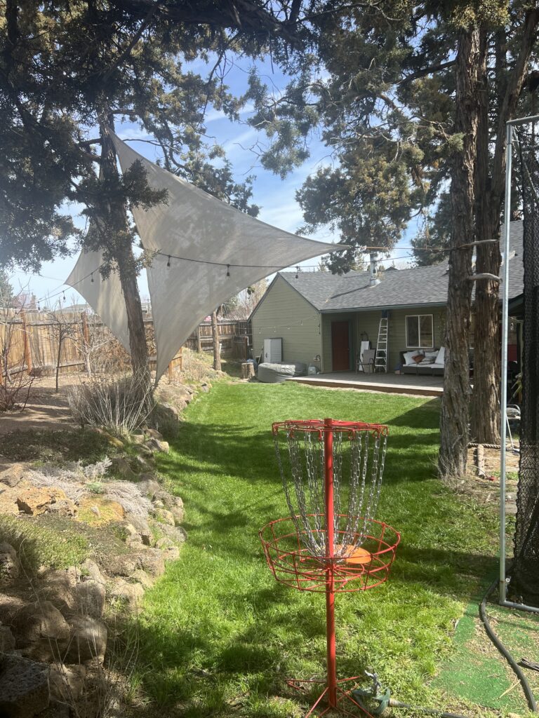 Back Yard Disc Golf hole